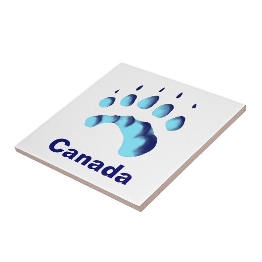 Polar Beer Paw Print Tegeltje (Zijkant)