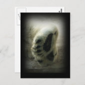 Polar Beer Paws Briefkaart (Voorkant / Achterkant)