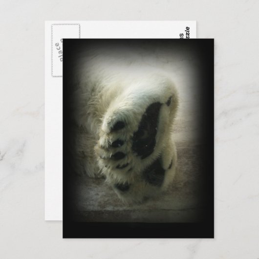 Polar Beer Paws Briefkaart (Voorkant / Achterkant)