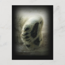 Polar Beer Paws Briefkaart
