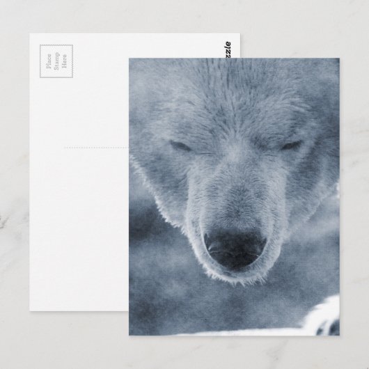 Polar Beer Portrait Briefkaart (Voorkant / Achterkant)