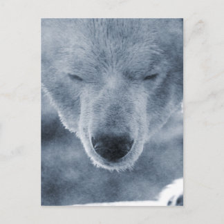 Polar Beer Portrait Briefkaart