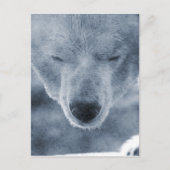 Polar Beer Portrait Briefkaart (Voorkant)