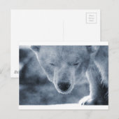 Polar Beer Portrait Briefkaart (Voorkant / Achterkant)