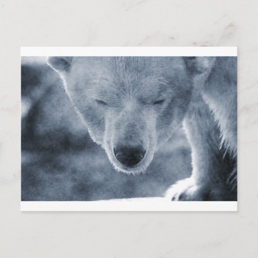 Polar Beer Portrait Briefkaart (Voorkant)