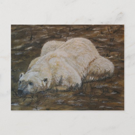 Polar Beer Post Card Briefkaart (Voorkant)