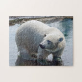 Polar Beer Puzzle Legpuzzel (Horizontaal)