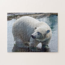 Polar Beer Puzzle