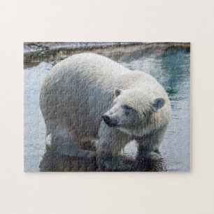 Polar Beer Puzzle Legpuzzel