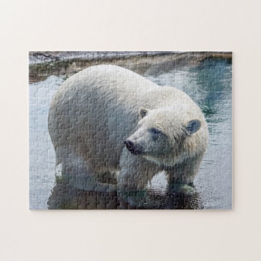 Polar Beer Puzzle Legpuzzel (Horizontaal)