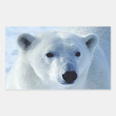 Polar Beer Rechthoek Stickers (Voorkant)