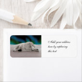 Polar Beer Resting Etiket (Insitu)