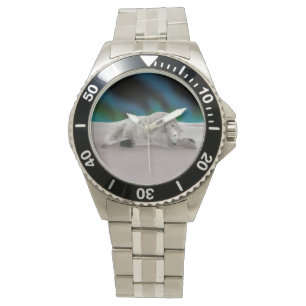 Polar Beer Resting Horloge
