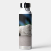 Polar Beer Resting Waterfles (Links)