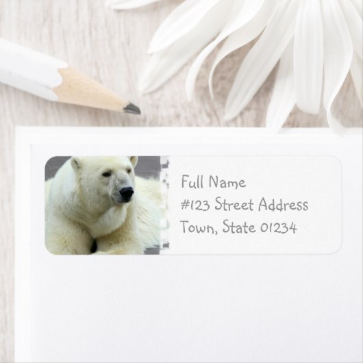Polar Beer Return Address Label (Insitu)