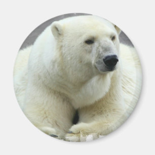 Polar Beer Round Magnet