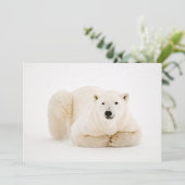 Polar Beer rustend op Hudson Bay Ice Feestdagenkaart (Staand voorkant)