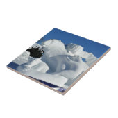 Polar Beer Snow Sculpture, Quebec, Canada Tegeltje (Zijkant)