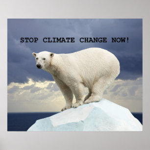 Polar Beer Stop klimaatverandering nu! Poster