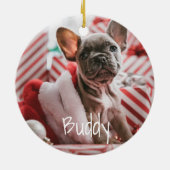 Polar Beer Trui Blauw Kerstfoto Ornament (Achterkant)