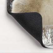 Polar Beer Ursus maritimus) in Churchill Muismat (Hoek)