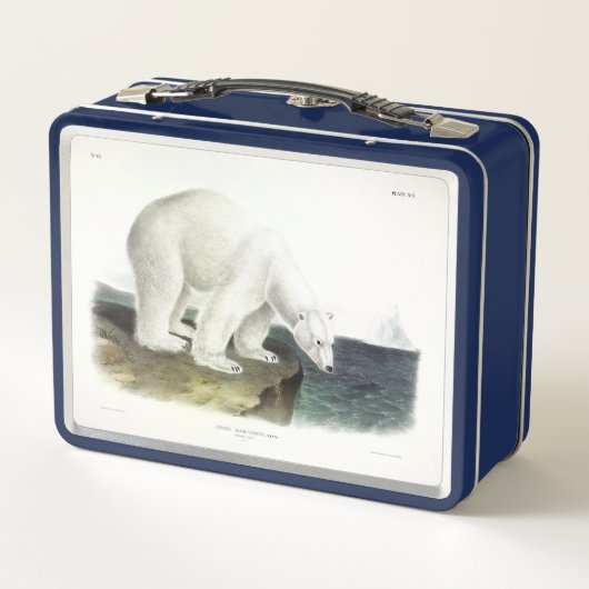 Polar Beer (Ursus maritimus), viervoeters van Audu (Achterkant)
