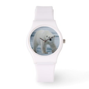 Polar Beer, Ursus Maritimus, Volwassenen Horloge