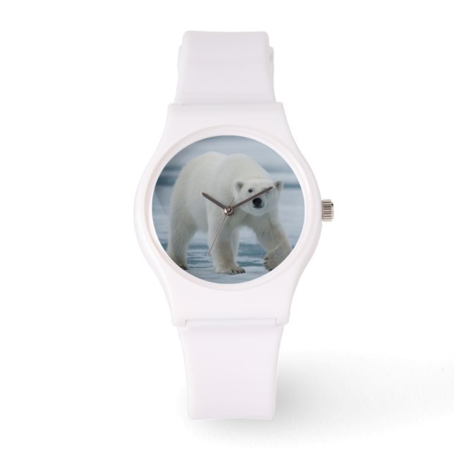 Polar Beer, Ursus Maritimus, Volwassenen Horloge (Voorkant)