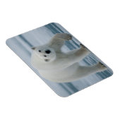 Polar Beer, Ursus Maritimus, Volwassenen Magneet (Rechterzijde)