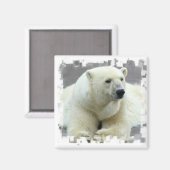 Polar Beer vierkante magneet (Voorkant / Achterkant)