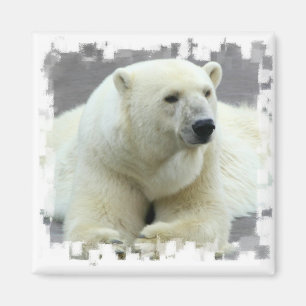 Polar Beer vierkante magneet