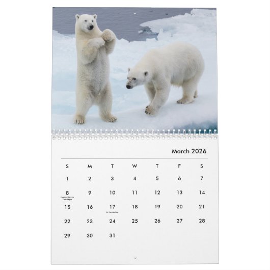 Polar Beer Wall Agenda Kalender (Mar 2026)