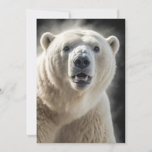 Polar Beer Wild Animal Elegant Dramatisch Portret Aankondiging