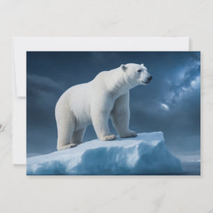 Polar Beer Wild Majestic Animal op een sterrenstel Aankondiging