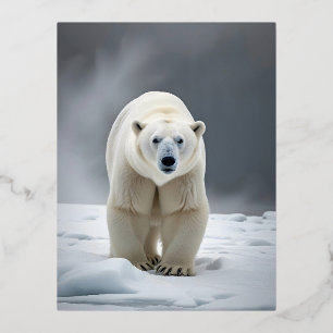 Polar Beer Wildlife Majestic Natuur Life Wallpaper Folie Feestdagen Briefkaart