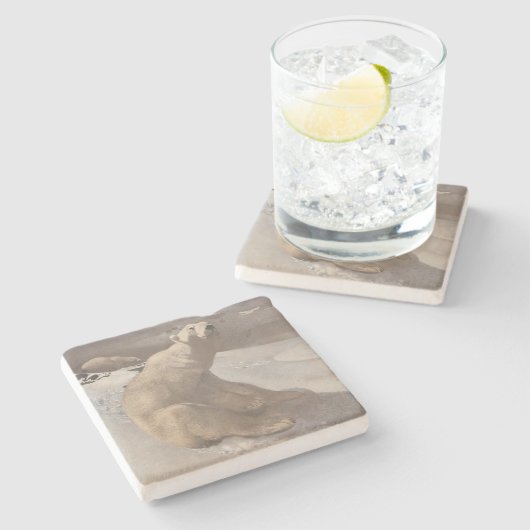 Polar beer wintersneeuw  illustratie grijs stenen onderzetter (Zijkant)