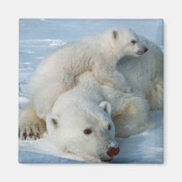 Polar_beer_with_cub Beer Liefhebbers Magneet