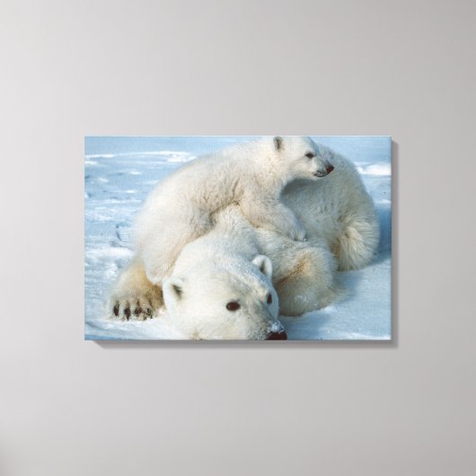 Polar_Beer_with_Cub Canvas Afdruk (Voorkant)