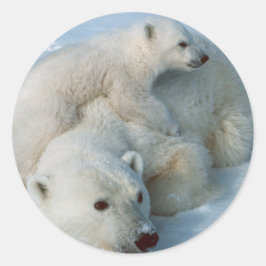 Polar_beer_with_cub Geschenken Ronde Sticker