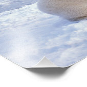 Polar beer zeug met welp, pack foto afdruk (Hoek)