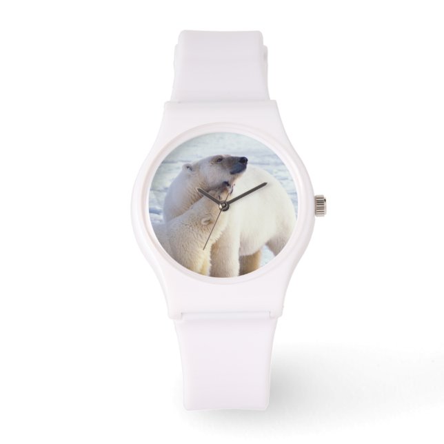 Polar beer zeug met welp, pack horloge (Voorkant)