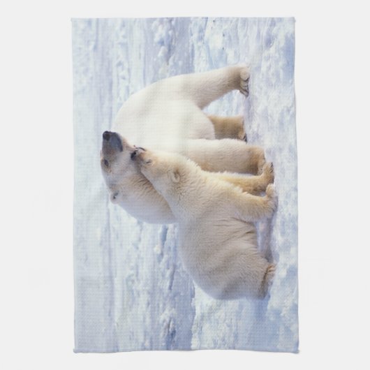 Polar beer zeug met welp, pack theedoek (Verticaal)