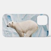 Polar Beer: Zoo Habitat Glimpse Case-Mate iPhone Case (Achterkant (horizontaal))