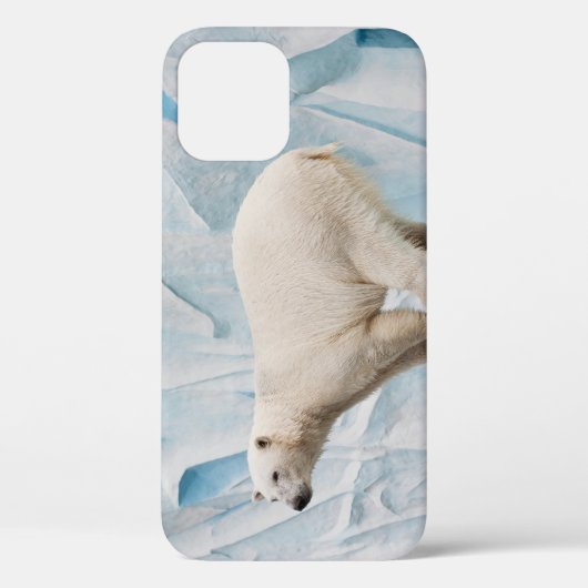 Polar Beer: Zoo Habitat Glimpse Case-Mate iPhone Case (Achterkant)