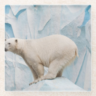 Polar Beer: Zoo Habitat Glimpse Glazen Onderzetter