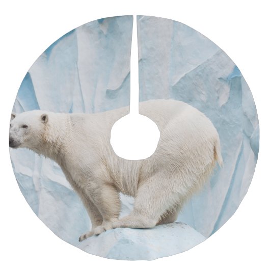 Polar Beer: Zoo Habitat Glimpse Kerstboom Rok (Voorkant)