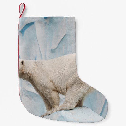 Polar Beer: Zoo Habitat Glimpse Kleine Kerstsok (Voorkant)