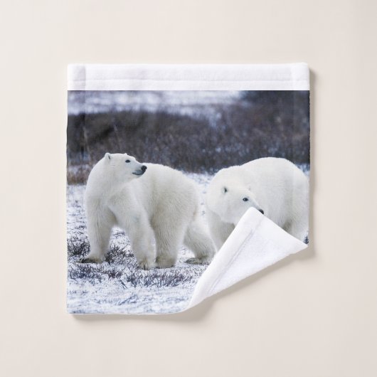 Polar Beren Bathroom Towel set Bad Handdoek (Wasdoekje)