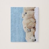 Polar Beren puzzel (Verticaal)