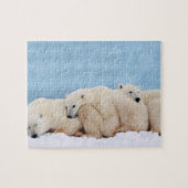 Polar Beren puzzel Legpuzzel (Horizontaal)